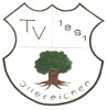 Wappen TVI